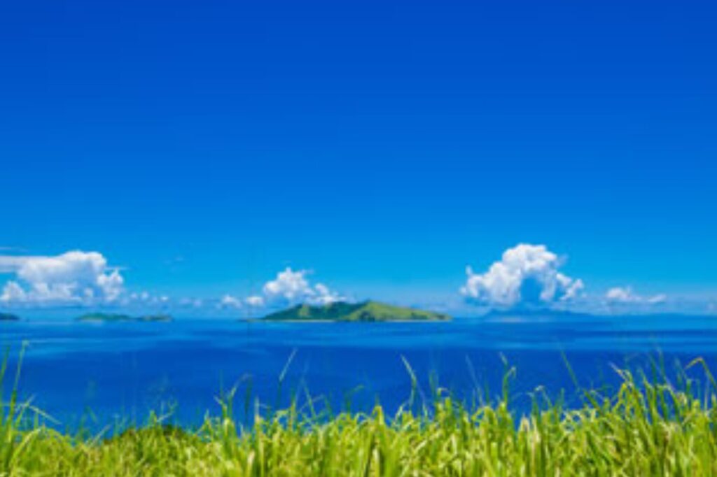 Fiji High Mana Island Resort 5