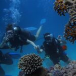 Fiji High Beqa Adventure Divers